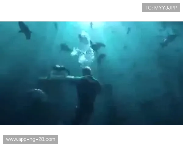 湘南海洋与山形山神激战正酣谁能在这场对决中笑到最后